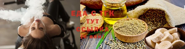 индика Абаза