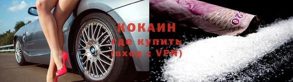 индика Абаза