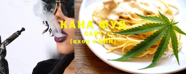 индика Абаза