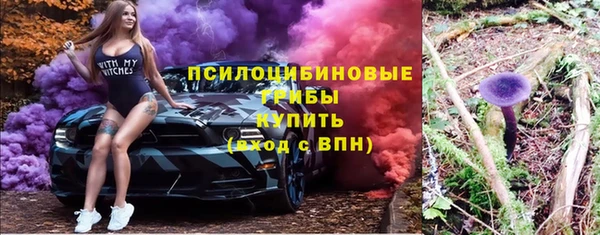 индика Абаза