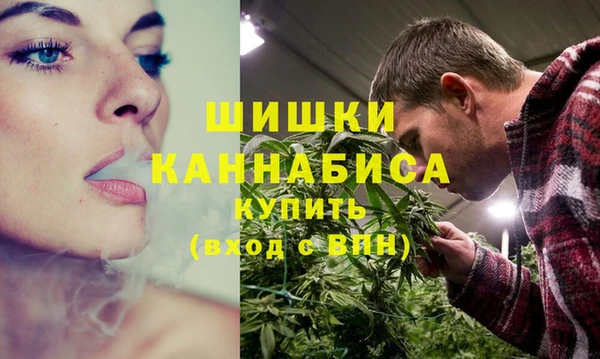 индика Абаза