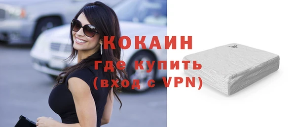 индика Абаза
