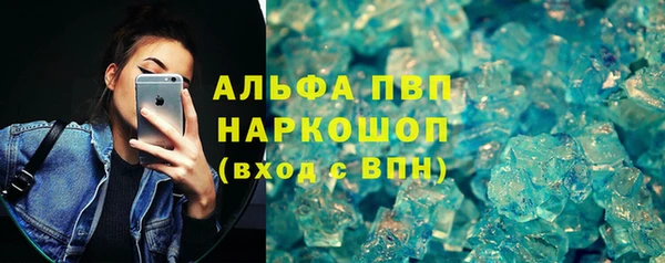 индика Абаза