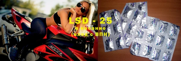 индика Абаза