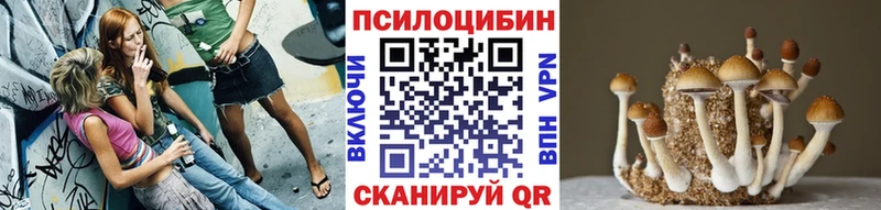 МЕГА онион  даркнет состав  Псилоцибиновые грибы Psilocybe  Курчатов 