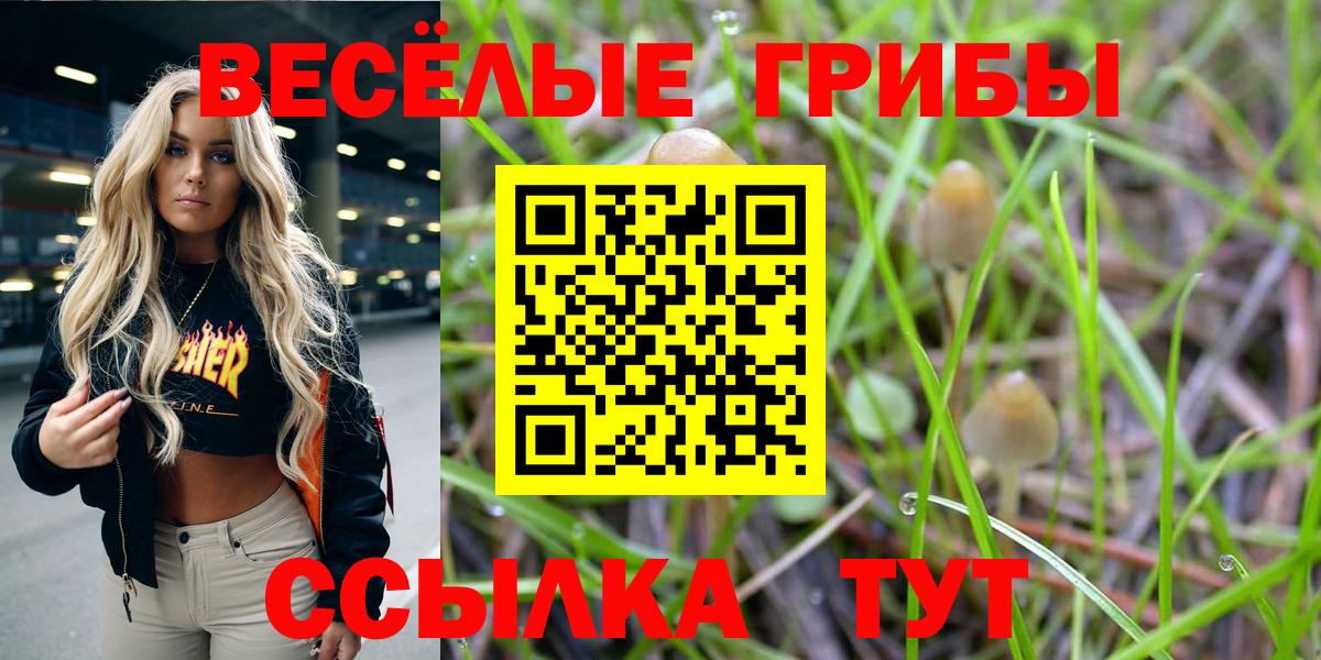 Галлюциногенные грибы мицелий Курчатов