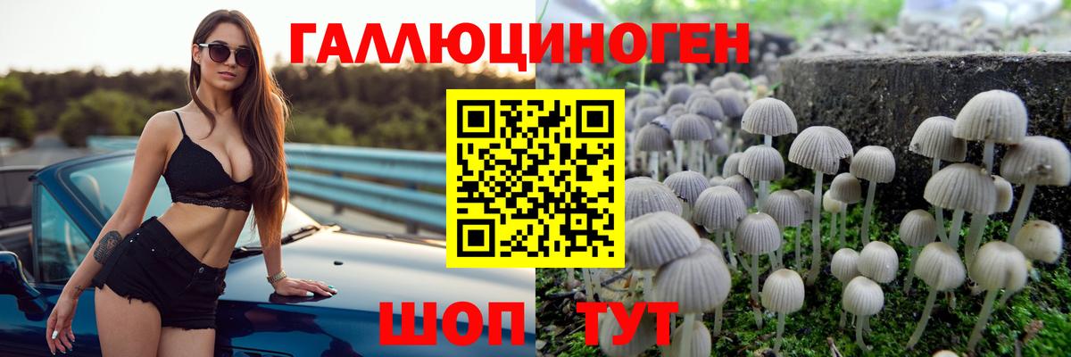 Псилоцибиновые грибы мухоморы  Псилоцибиновые грибы Magic Shrooms  Вход с VPN  купить закладку  Курчатов 